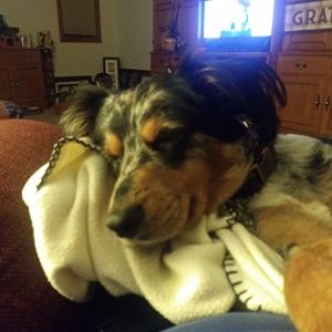 Meet your Posher, Cate